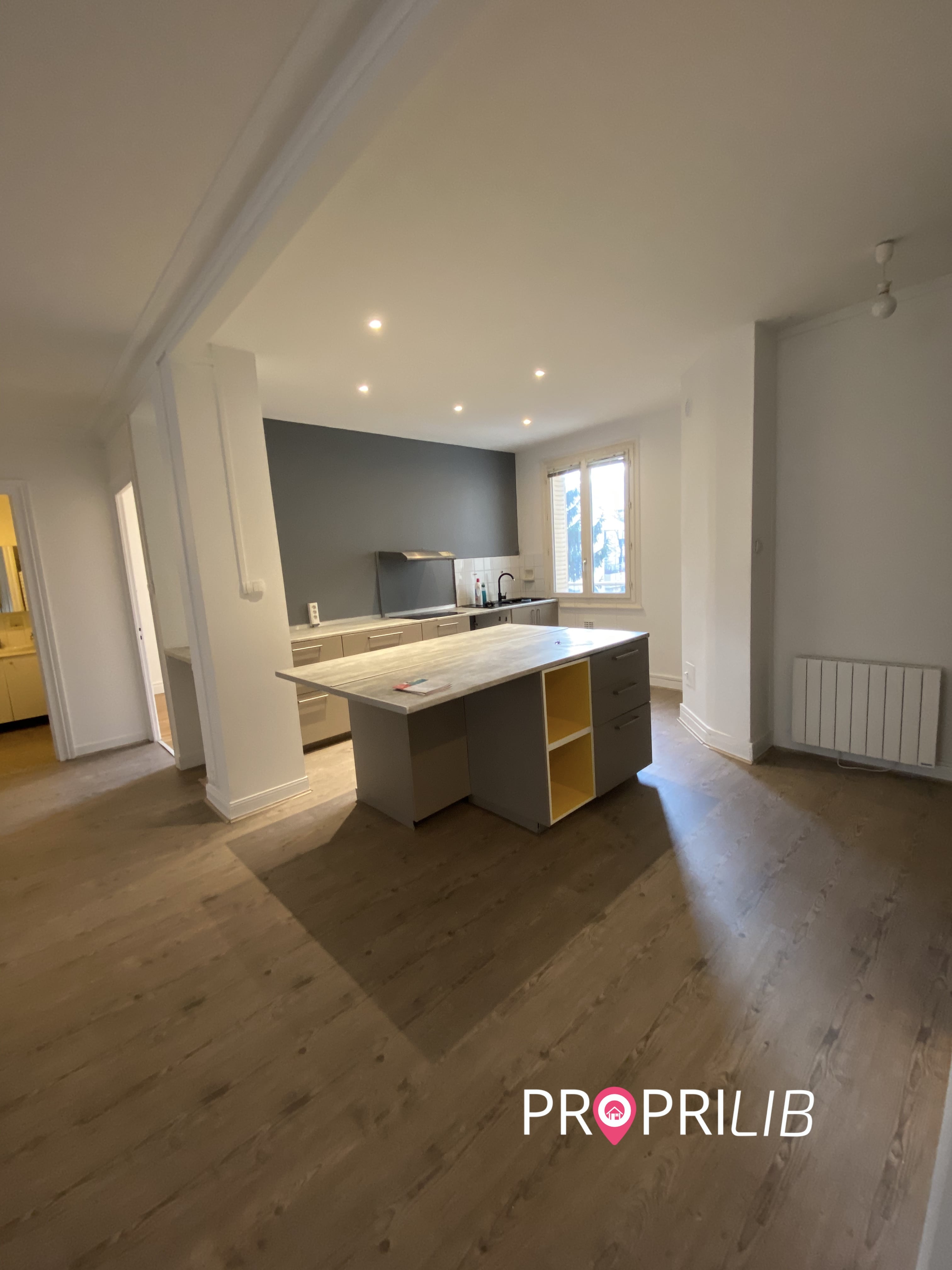 PropriLib l’agence immobilière en ligne au forfait vend cet appartement dans Lyon 3ème