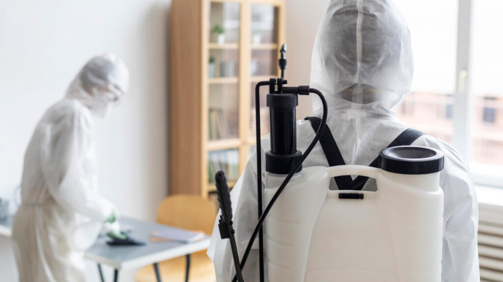 Votre maison sans nuisibles : faites appel à un expert en désinsectisation au Havre !